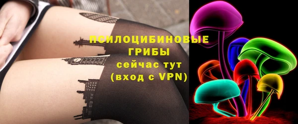 индика Алзамай