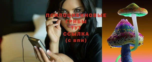 дживик Алексин