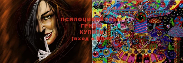 индика Алзамай