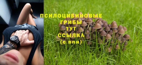 СК Михайлов